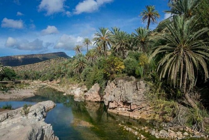 Agadir Paradise Valley Guided Tour Swimming & Breakfast - The Women’s Argan Cooperative and Botanical Garden Breakfast
