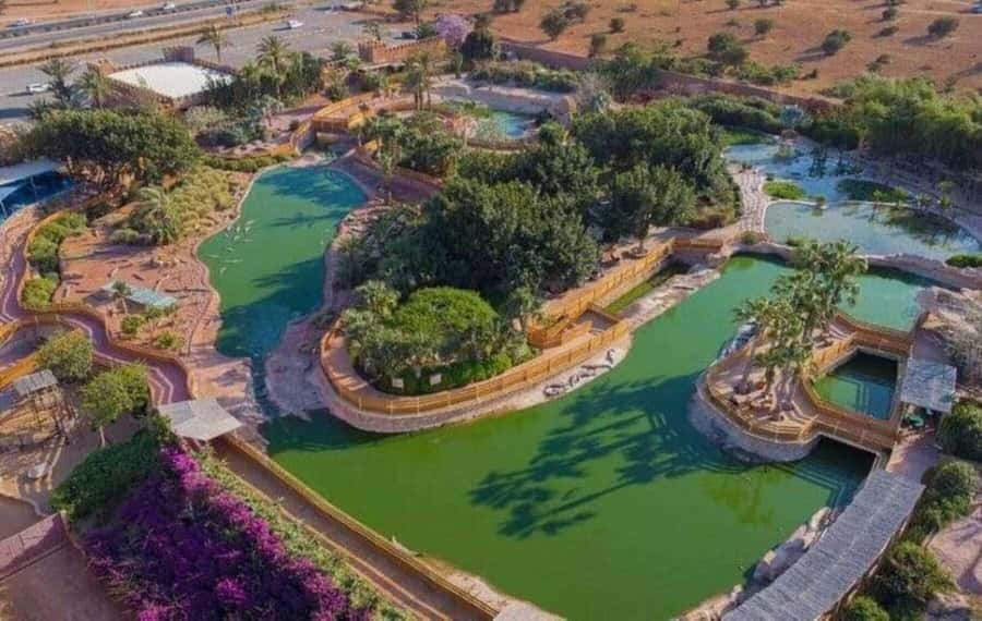 Agadir: Quad Bike Safari Desert With Moroccan Tea - Price and Value: Is $41 Worth It?