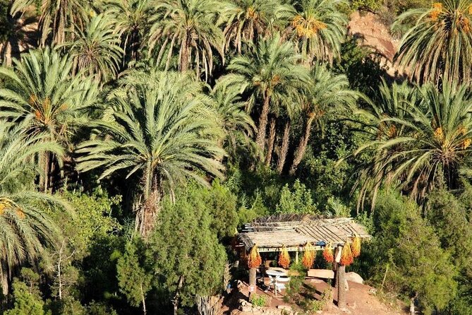 Agadir Quad Biking on the Beach & Sandboarding in the Desert - FAQ