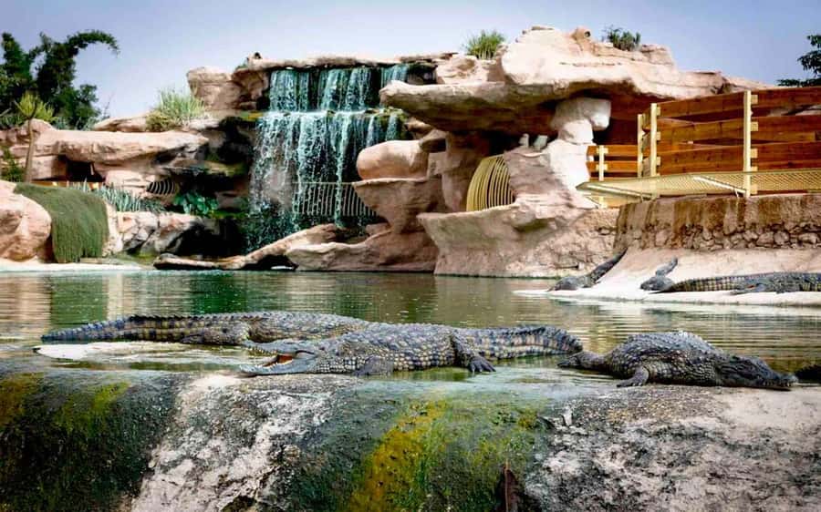 Agadir: Quad Safari with Crocoparc Optional - Key things I’d lock in before you go
