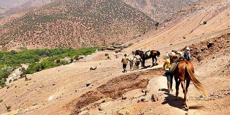 Agadir: Quad Safari with Crocoparc Optional - Value check: is $29 worth it, with Crocoparc as the optional upgrade?