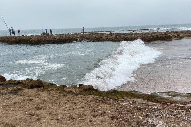 Agadir Sahara Day Trip with Lunch - Fishing village + Atlantic wild beaches: your easiest win for photos