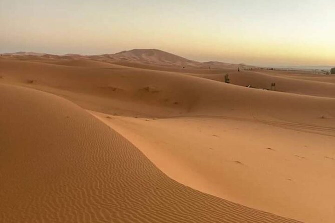 Agadir Sahara Day Trip with Lunch - Lunch included, but plan for water and soda