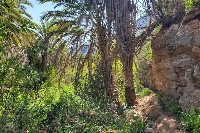 Agadir Sahara Desert & Paradise with camel ride & hotel pickup - Paradise Valley: swim time, gardens, and an argan oil co-op