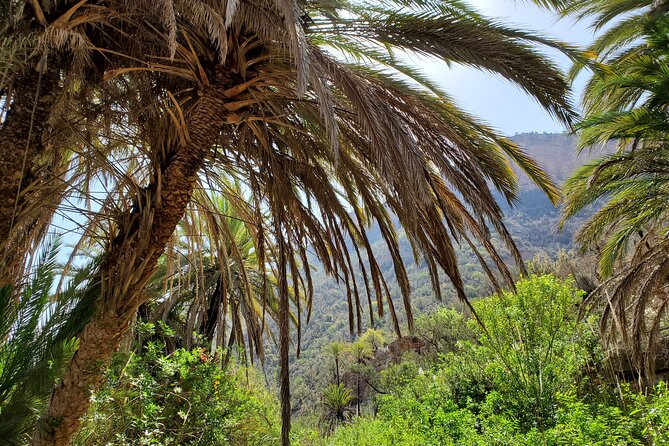 Agadir Sahara Desert & Paradise with camel ride & hotel pickup - What to pack for a swim and a desert day