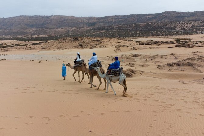 Agadir Sand Dunes and Camel Ride in Tifnit with Lunch - Key Highlights at a Glance