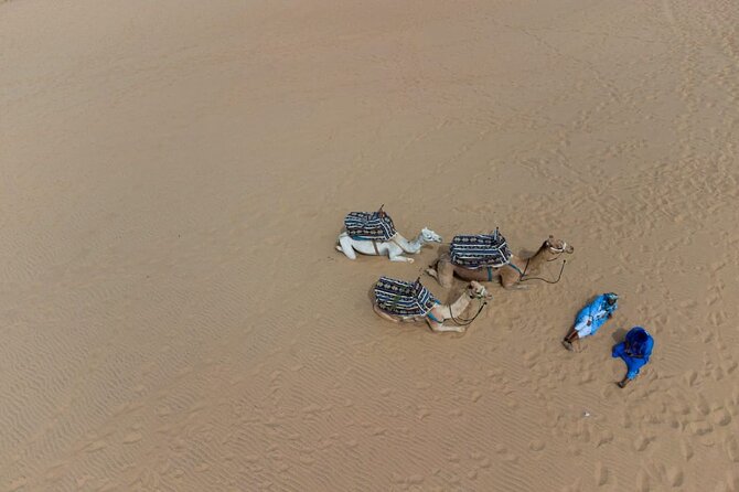 Agadir Sand Dunes and Camel Ride in Tifnit with Lunch - Group Size, Vehicles, and the Human Side of the Day