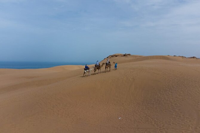 Agadir Sand Dunes and Camel Ride in Tifnit with Lunch - Price Check: Is $114.98 Worth It?