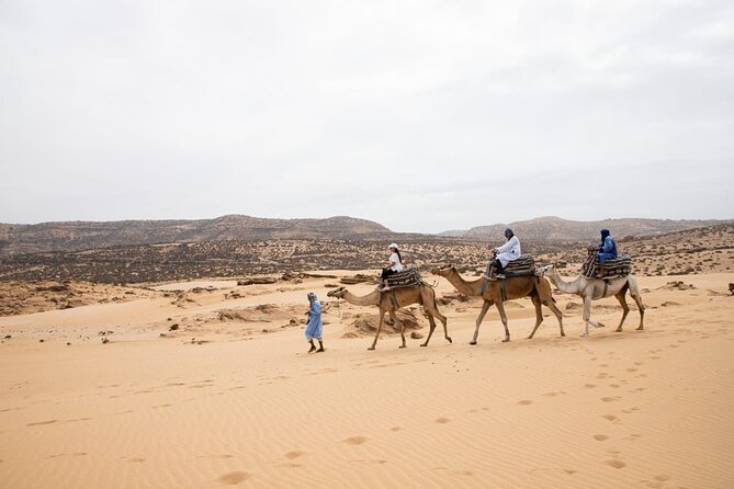 Agadir Sand Dunes and Camel Ride in Tifnit with Lunch - Reaching the Agadir Sand Dunes: Views First, Camel Second