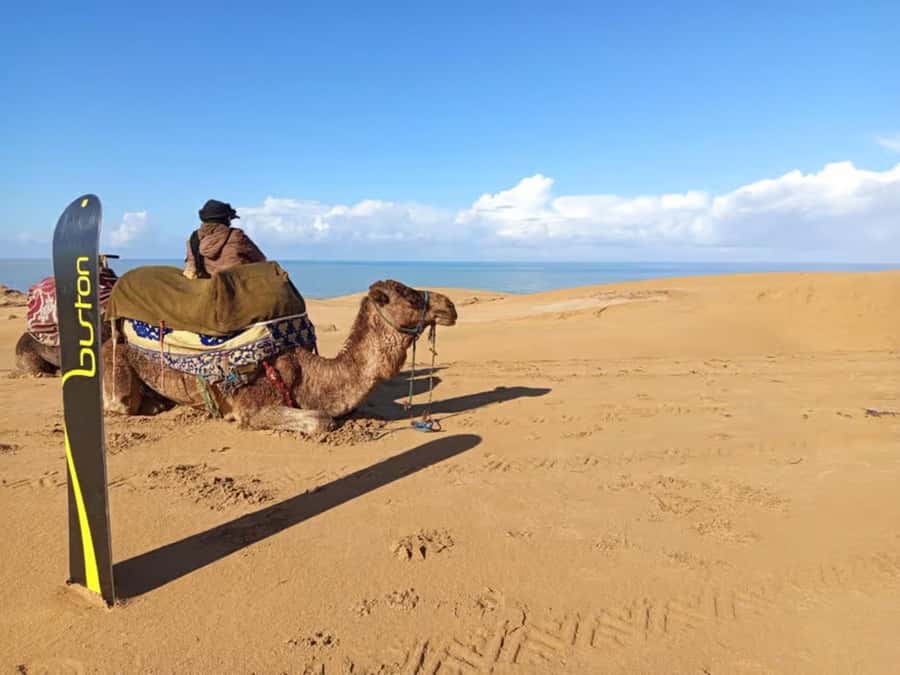 Agadir Sinec Canyon Desert Tour + Optional Sandboarding - Photos and Videos, Why This Day Looks So Good on Your Phone