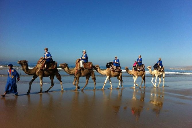 Agadir Sunset Camel Ride with Delicious Couscous & Barbecue - Key highlights