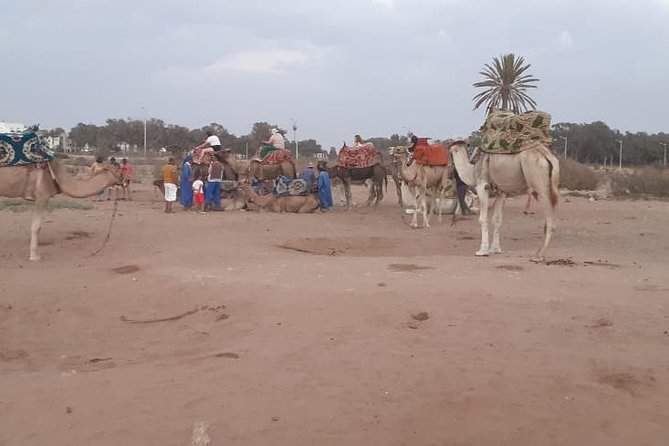 Agadir Sunset Camel Ride with Delicious Couscous & Barbecue - Why this Agadir sunset ride feels different from a quick activity