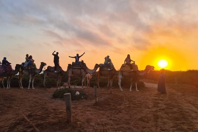 Agadir Sunset Camel Ride with Moroccan Barbecue & Hotel Transfers - Key things I would prioritize before you go