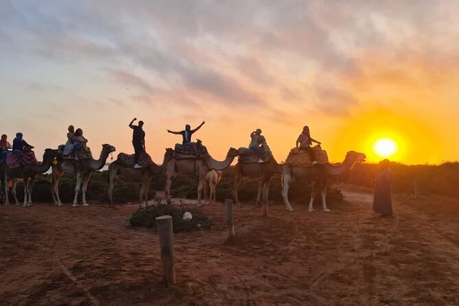 Agadir Sunset Camel Ride with Moroccan Barbecue & Hotel Transfers - Who should book this camel ride, and who should think twice