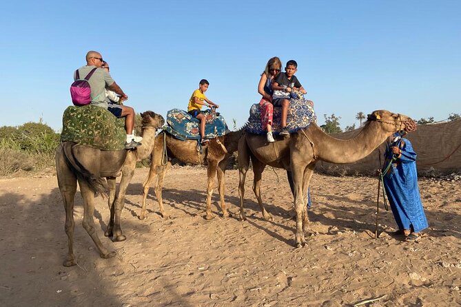Agadir Sunset Camel Ride with Moroccan Barbecue & Hotel Transfers - Should you book this Agadir sunset camel ride?