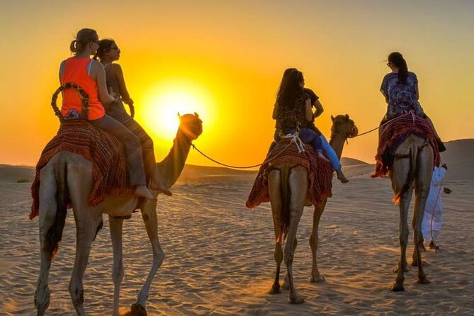 Agadir sunset on Camel Ride With Barbecue - The Agadir Sunset Camel Ride That Adds Dinner Value