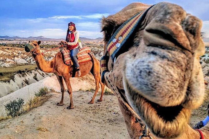 Agadir sunset on Camel Ride With Barbecue - Price and Value: Why $25.59 Can Work for Dinner Plus Ride