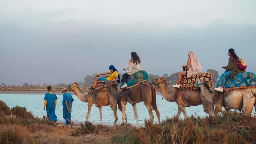 Agadir/Taghazout: Camel Ride with Tea Drink and Transfers - Agadir and Taghazout views from a camel’s eye level