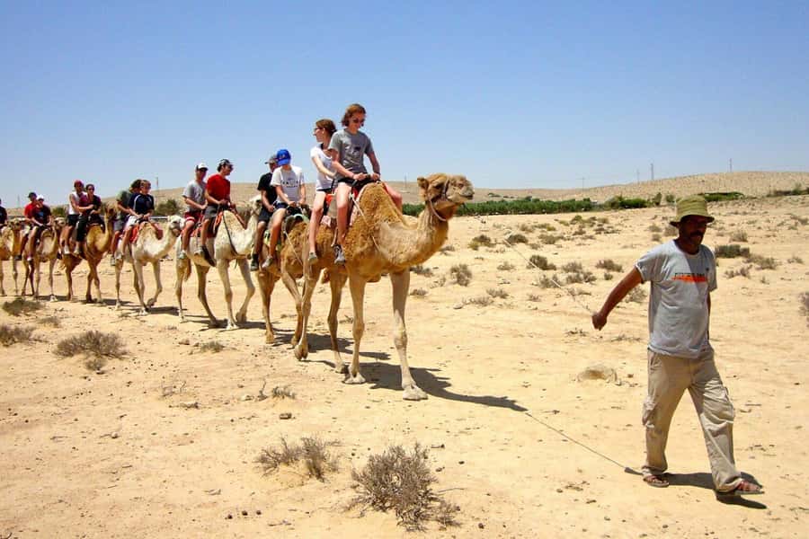 Agadir/Taghazout: Camel Ride with Tea Drink and Transfers - The mint tea finish: a real ending, not a rushed stop