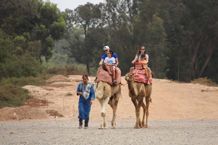 Agadir/Taghazout: Camel Ride with Tea Drink and Transfers - Practical ways to get more out of the ride