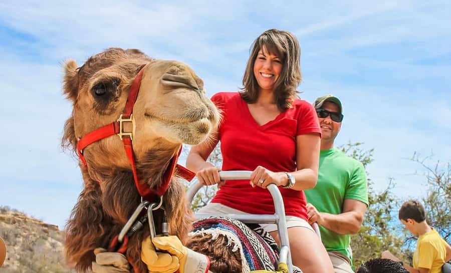 Agadir/Taghazout: Camel Ride with Tea Drink and Transfers - How the guide and language support your experience