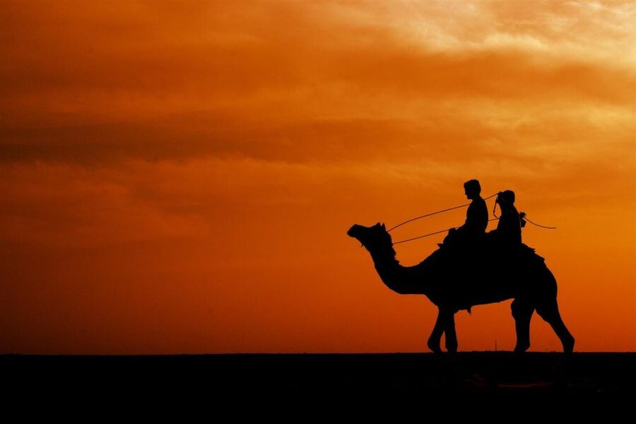 Agadir/Taghazout: Camel Rides with Tea Drink and Transfers - Practical Tips to Make Your Ride More Comfortable