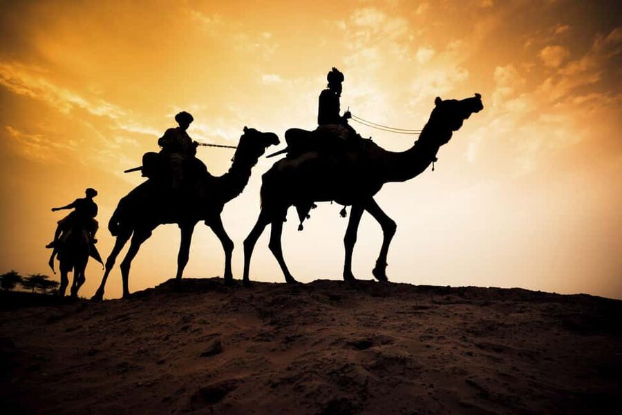 Agadir/Taghazout: Camel Rides with Tea Drink and Transfers - Flamingo Chances at the Souss River: Fun Even When You Don’t Spot One