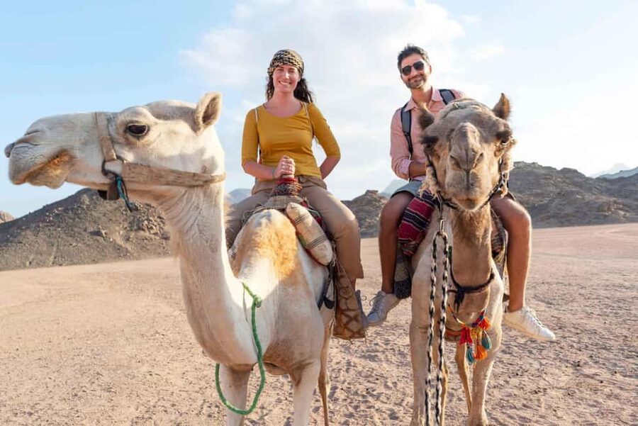 Agadir/Taghazout: Camel Rides with Tea Drink and Transfers - Mint Tea and Biscuits: The Ending That Makes It Worth It