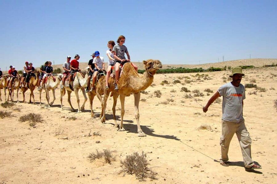 Agadir/Taghazout: Camel Rides with Tea Drink and Transfers - Price and Value: Why $22 Can Be a Fair Deal