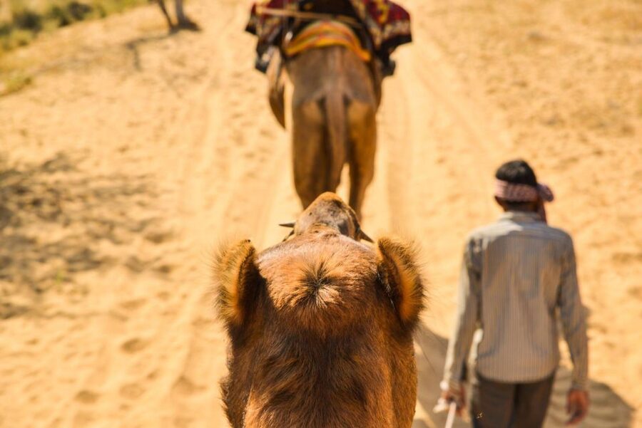 Agadir/Taghazout: Camel Rides with Tea Drink and Transfers - Who Should Book, and Who Might Want a Different Plan