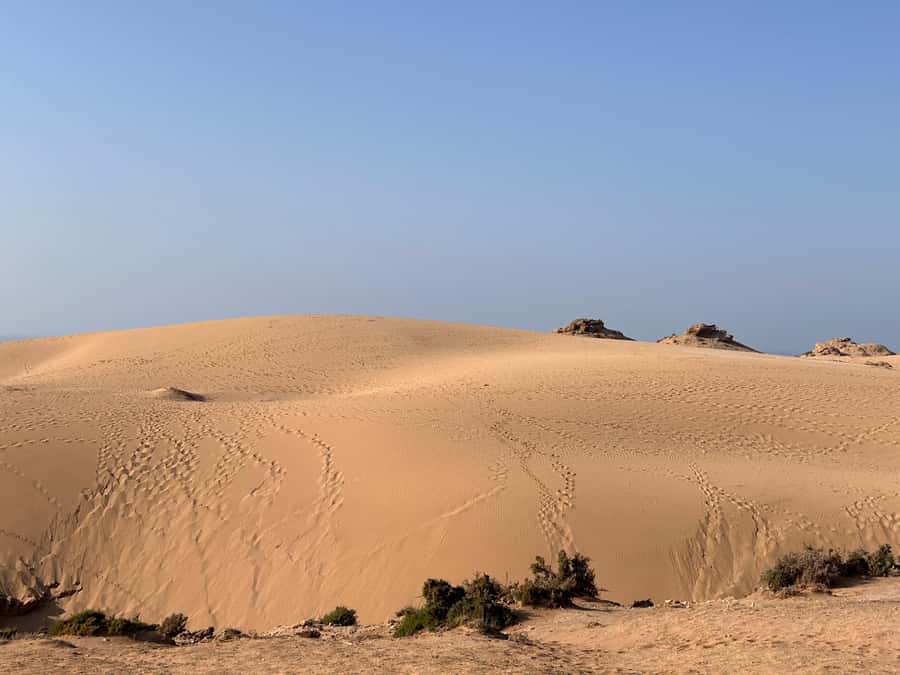 Agadir: Taghazout, Colorful village & Timlaline Desert Trip - A half-day that actually feels like a half-day, not a marathon