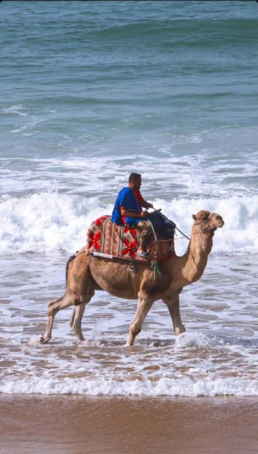 Agadir: Taghazout, Colorful village & Timlaline Desert Trip - What to bring so you feel comfortable in the desert