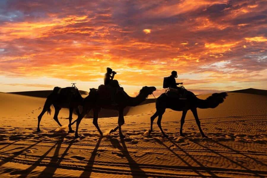 Agadir/Taghazout: Desert & Beach Safari Quad With Transfer - Sandboarding and Camel Riding: Optional Extras, Clear Payoff