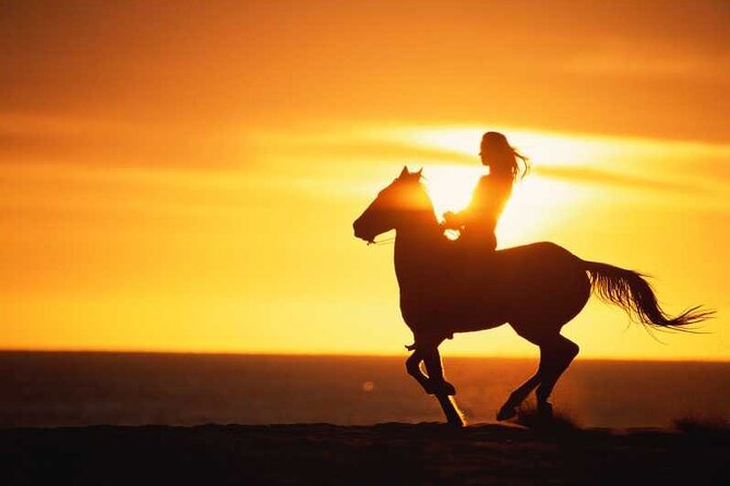 Agadir/Taghazout Horse Ride on the beach - Key Things You Should Know Before You Go