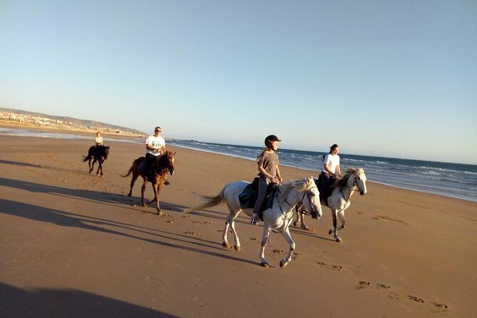 Agadir/Taghazout Horse Ride on the beach - The Ride Itself: Ranch to Beach, About 6 km, Then a Final Push