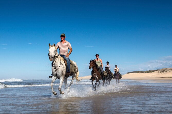 Agadir/Taghazout Horse Ride on the beach - Price and Value: Is $30.20 Worth It?