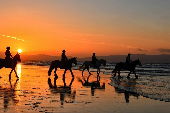 Agadir/Taghazout Horse Ride on the beach - Horses, Safety, and Matching Your Riding Level