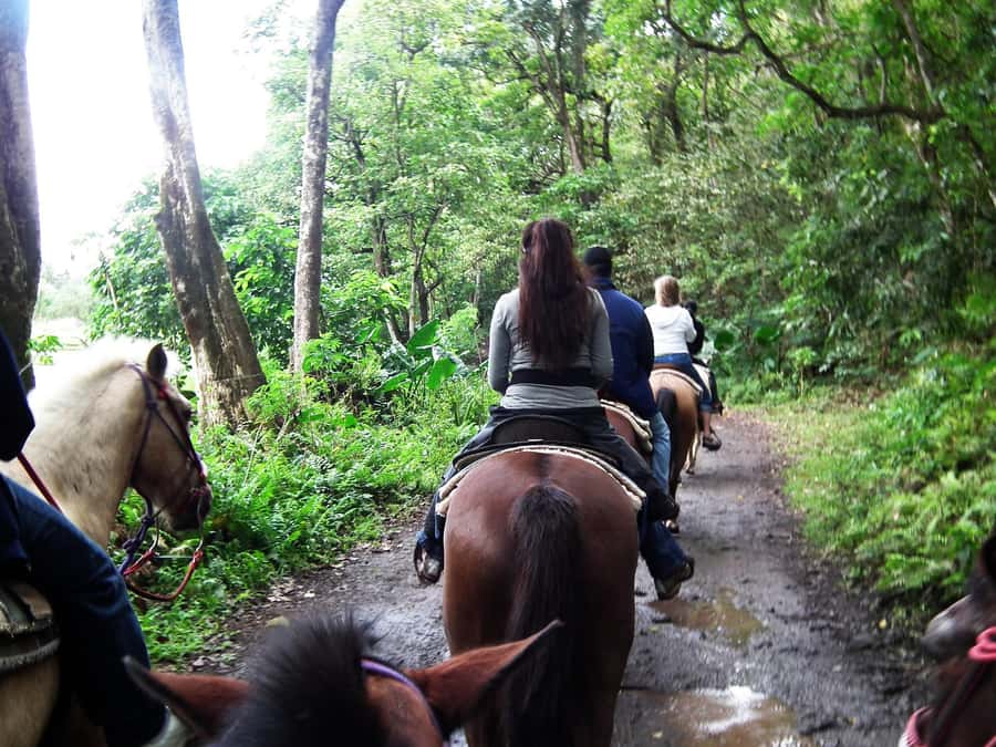 Agadir/Taghazout: Horse Rides Experience With Transfers - Key things to know before you go
