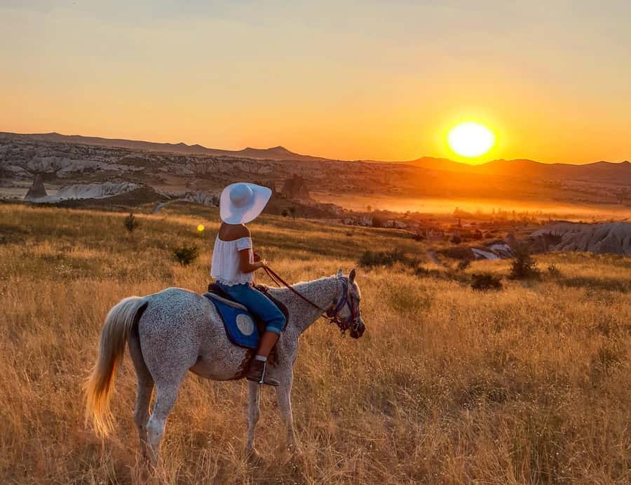 Agadir/Taghazout: Horse Rides Experience With Transfers - Why a Horse Ride Is Such a Good Way to See Agadir