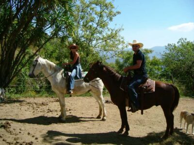 Horse Rides Experience With Transfers