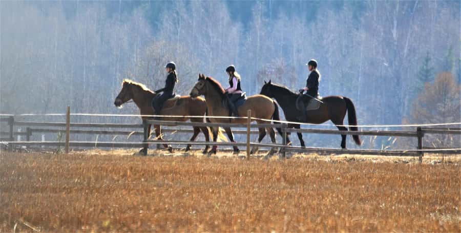 Agadir/Taghazout: Horse Rides Experience With Transfers - Is $23 Per Person Good Value in Agadir?