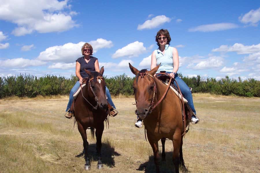 Agadir/Taghazout: Horse Rides Experience With Transfers - Who Should Book This Horse Ride in Agadir