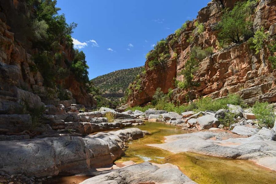 Agadir/Taghazout: Paradise Valley Atlas Mountains Trip - Swimming where nature does the work