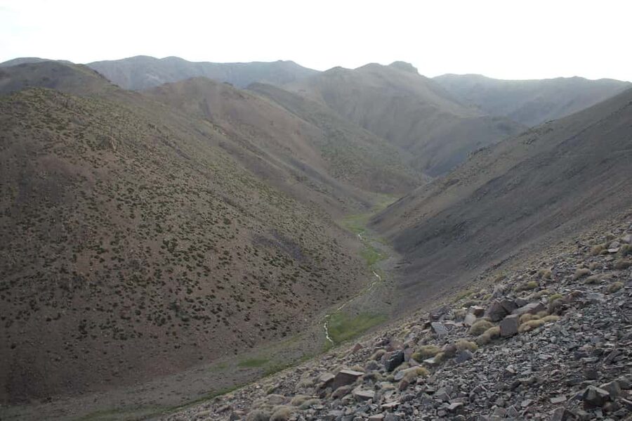 Agadir/Taghazout: Paradise Valley Atlas Mountains Trip - Botanic Garden time: a calmer contrast after water