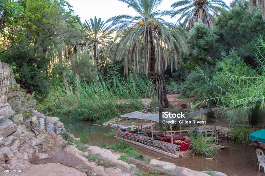 Agadir/Taghazout : Paradise Valley & Sandboarding with Lunch - Key highlights you will feel on the day