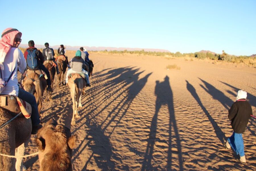 Agadir/Taghazout/Port: Camel Ride Tea & BBQ Option - Entering Aghroud Bensergao, Not Just the Beach Version of Morocco