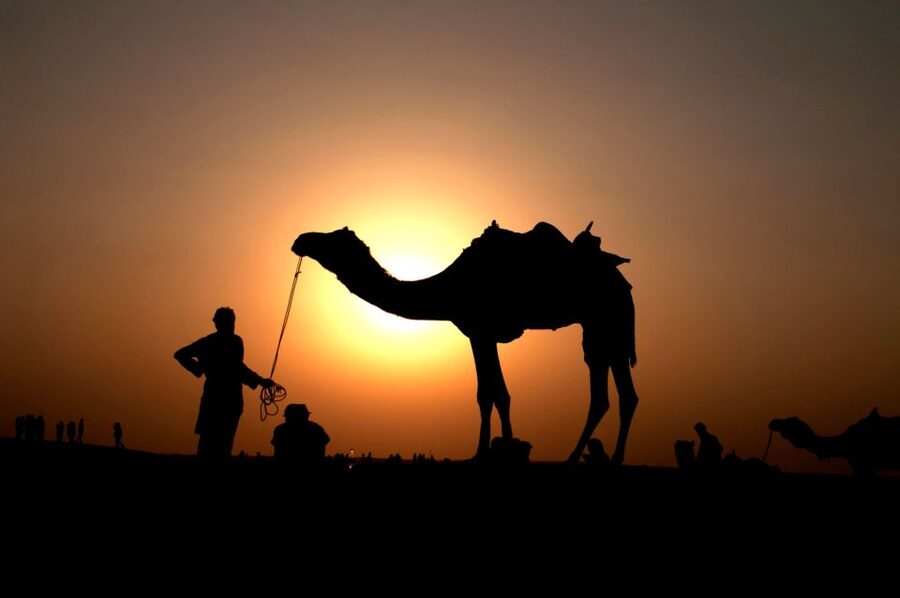 Agadir/Taghazout/Port: Camel Ride Tea & BBQ Option - Riding Comfort, Photo Stops, and Why Your Hands Might Notice