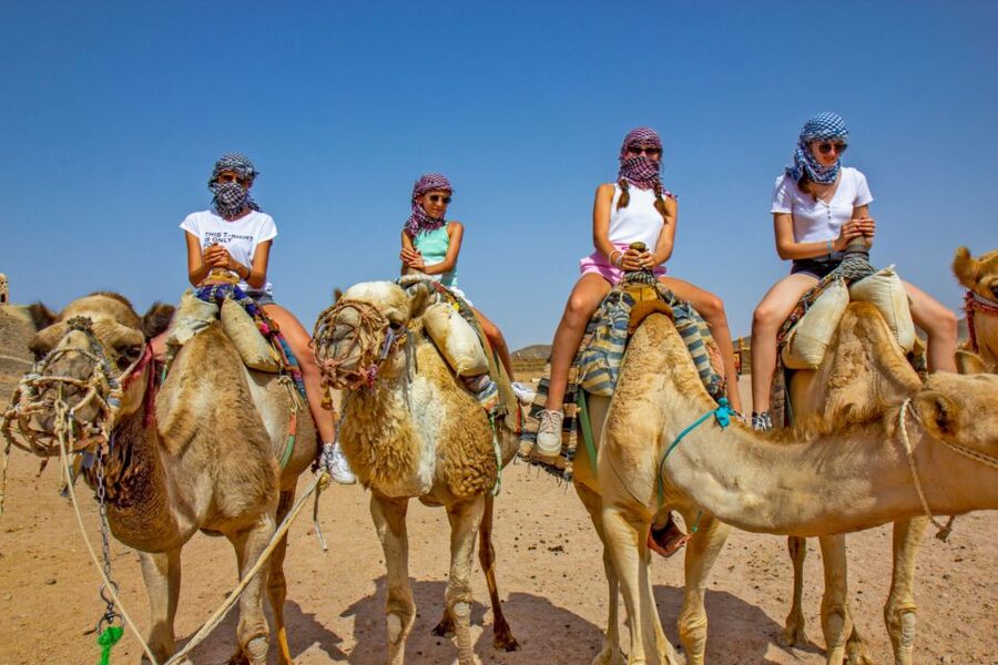 Agadir/Taghazout/Port: Camel Ride Tea & BBQ Option - The Oued Sous Bird Stop, Where Timing and Tide Matter