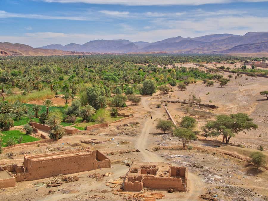 Agadir/Taghazout/Port: Paradise Valley Atlas Mountains Trip - Optional botanic garden: a calmer pause before heading back