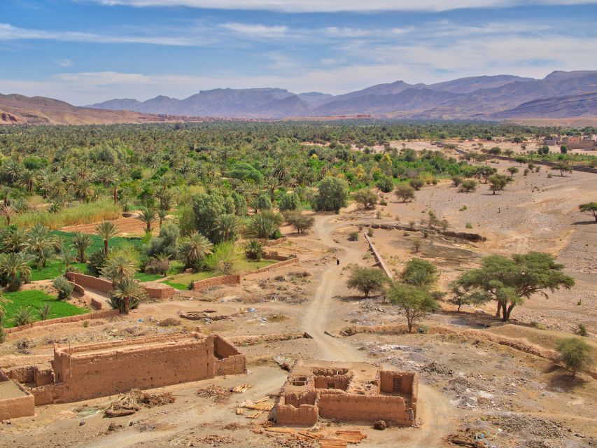 Agadir/Taghazout/Port: Paradise Valley Atlas Mountains Trip - Guide quality is the real multiplier on a short day